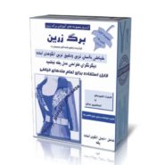 الگوی یقه
